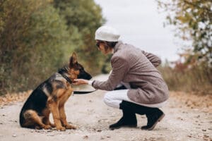 5 Interesting Facts Every German Shepherd Owner Should Know