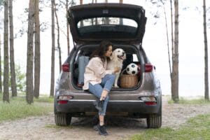 Traveling With Your Dog